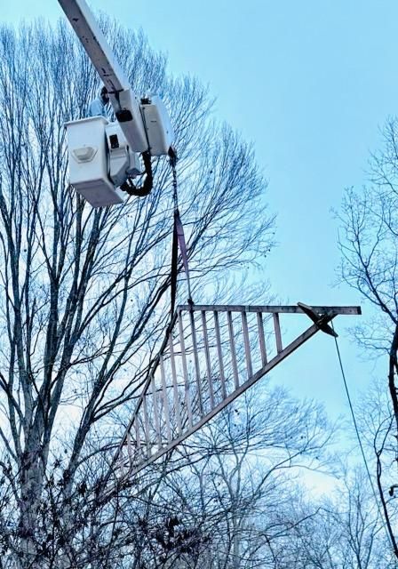 All Photos for Lamb Brothers Clearing in Murray, KY