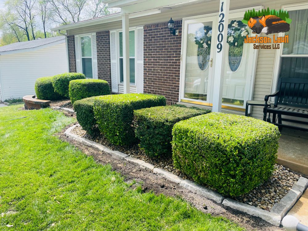 Hedge Trimming for Jackson Lawn Services LLC in St Louis, MO