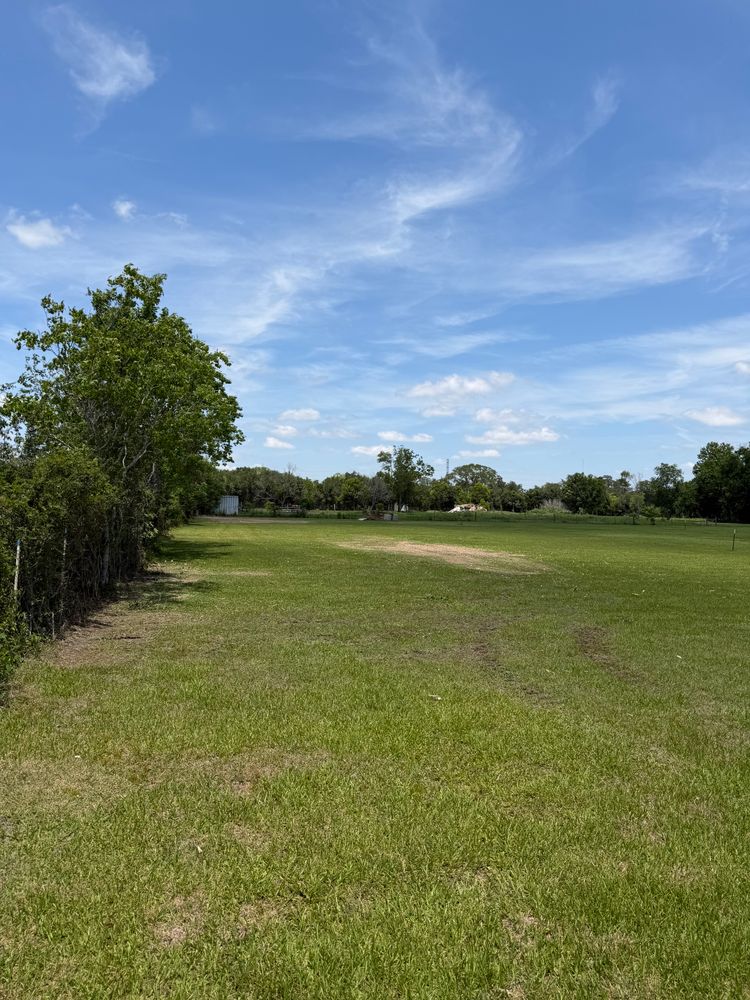 All Photos for CKD's Mulching Services in League City, TX