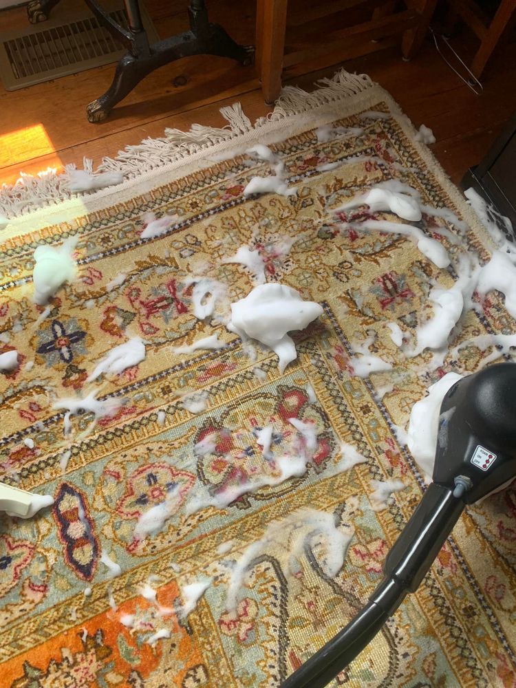 All Photos for Pro-Care Carpet & Upholstery Cleaning in Saint James, NY