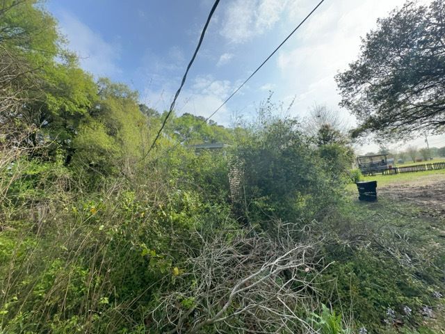 Tree Cleanup  for D&D Services of Pensacola in Pensacola, FL