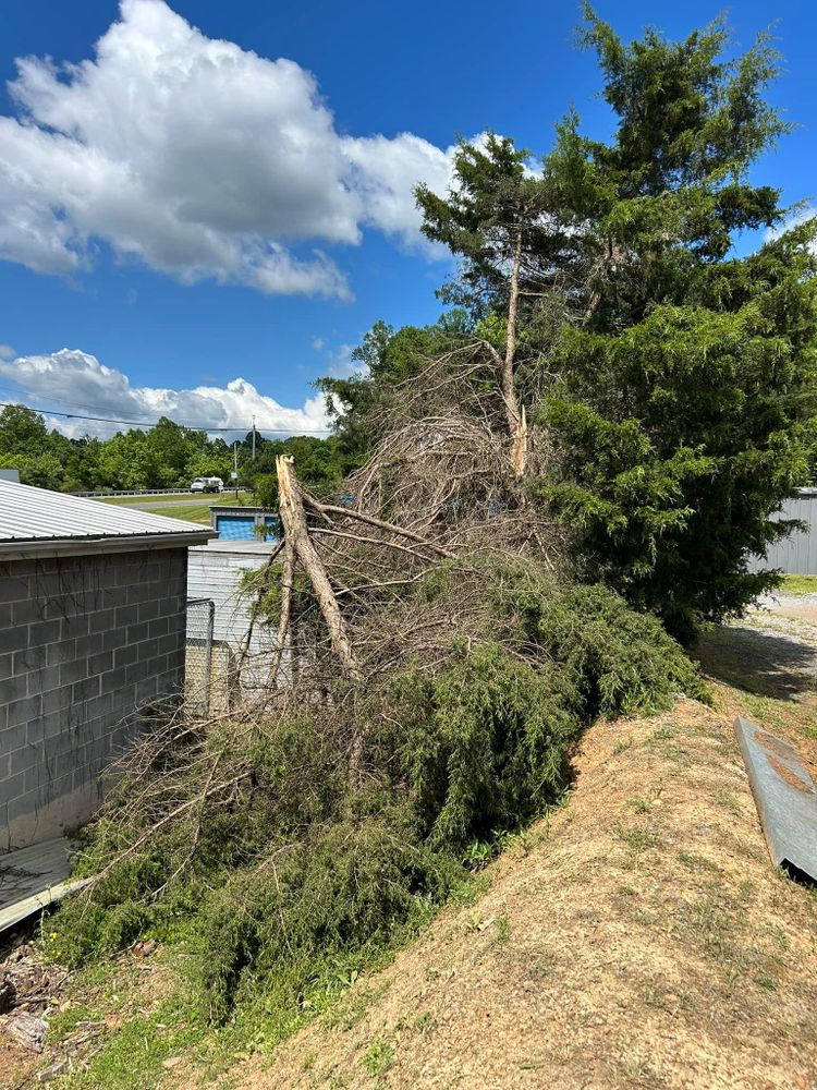 All Photos for NRV Tree Pro, LLC in Narrows, VA