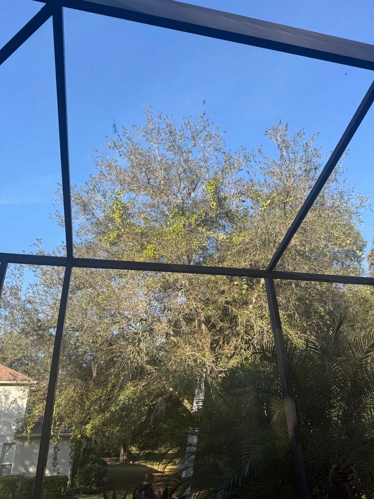 All Photos for Amerigrown Tree And Lawn in Apopka, FL