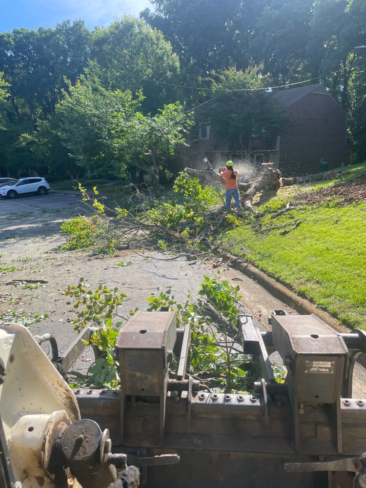 Tree Removal for Ace Tree Service  in Fuquay-Varina, NC
