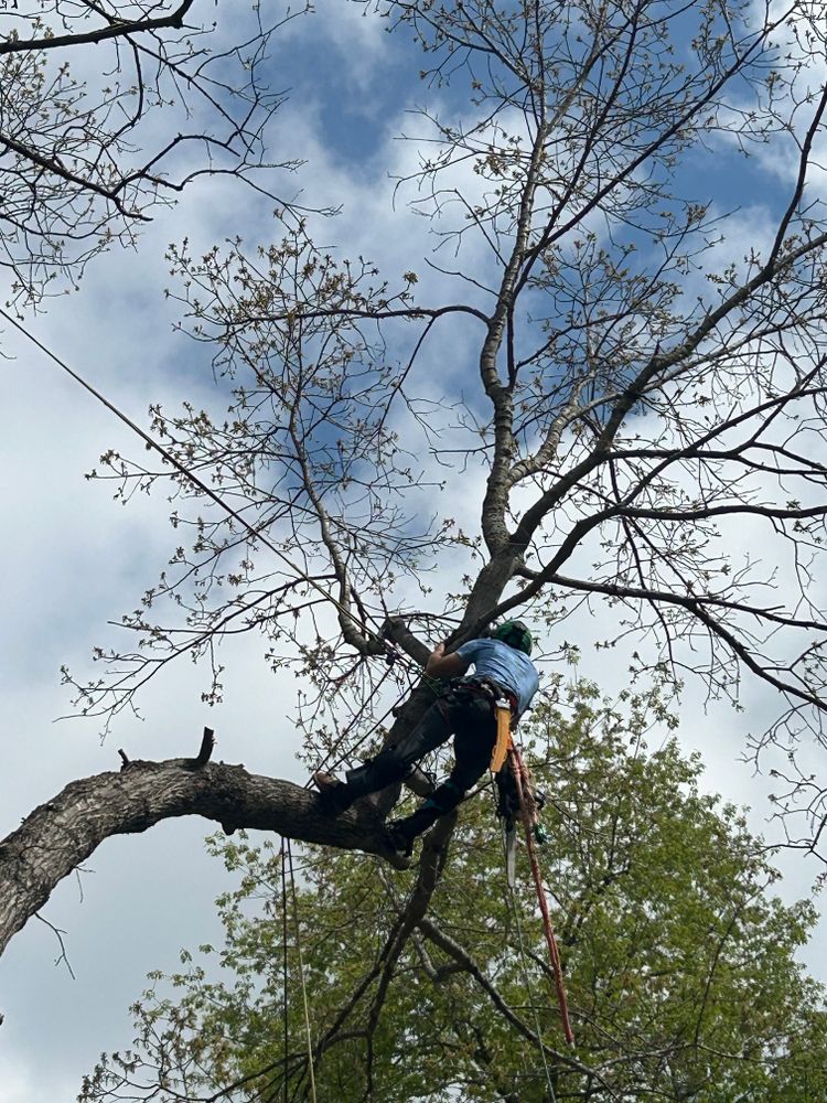 All Photos for VA Landgrowth LLC in Lexington, VA