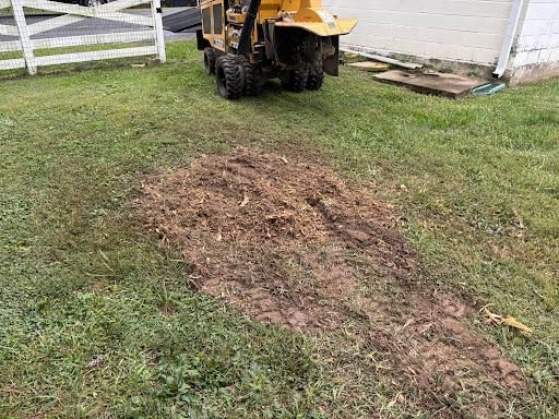 All Photos for Conrad's Stump Removal in Columbus, IN