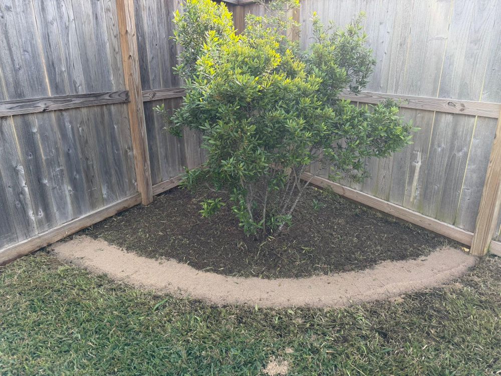 All Photos for Texas Curb N Borders in Houston, TX