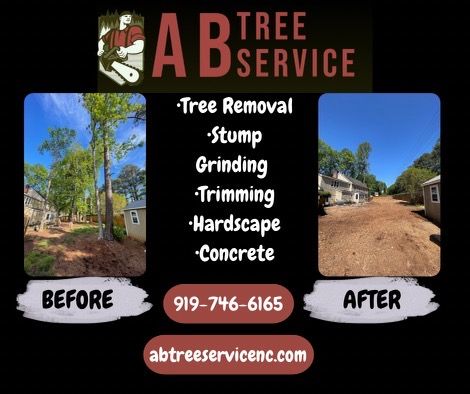 All Photos for AB Tree Service in Raleigh, NC