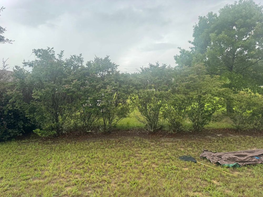 All Photos for Young's Lawn Services LLC in Ocala, FL