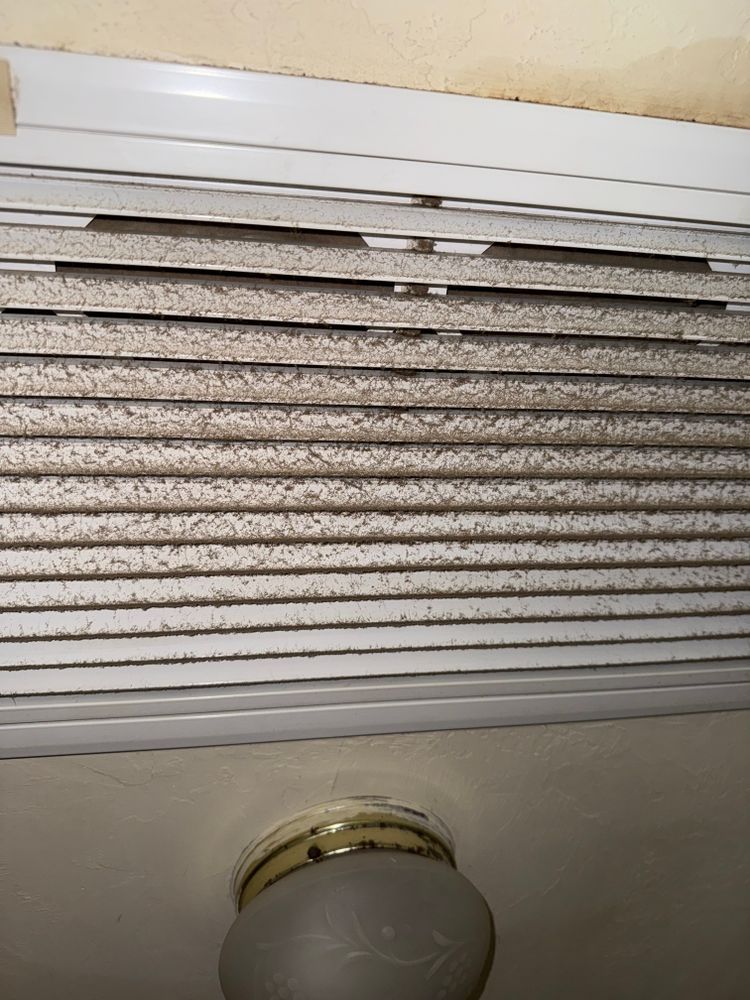 All Photos for N&D Restoration Services When Disaster Attacks, We Come In in Cape Coral,  FL