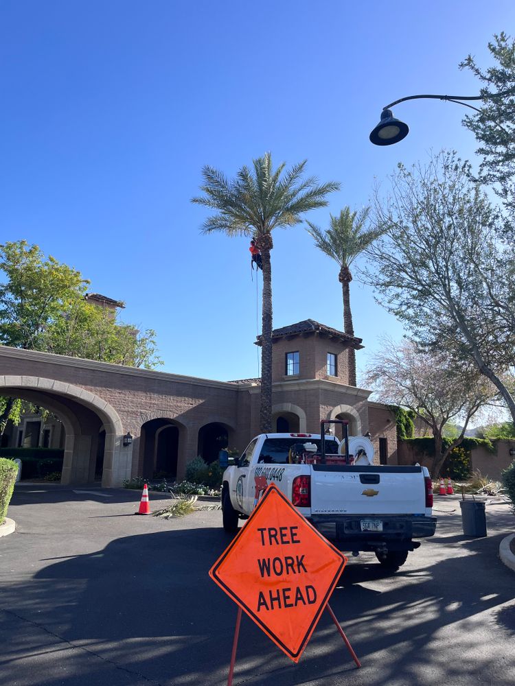 All Photos for AZ Tree & Hardscape Co in Surprise, AZ