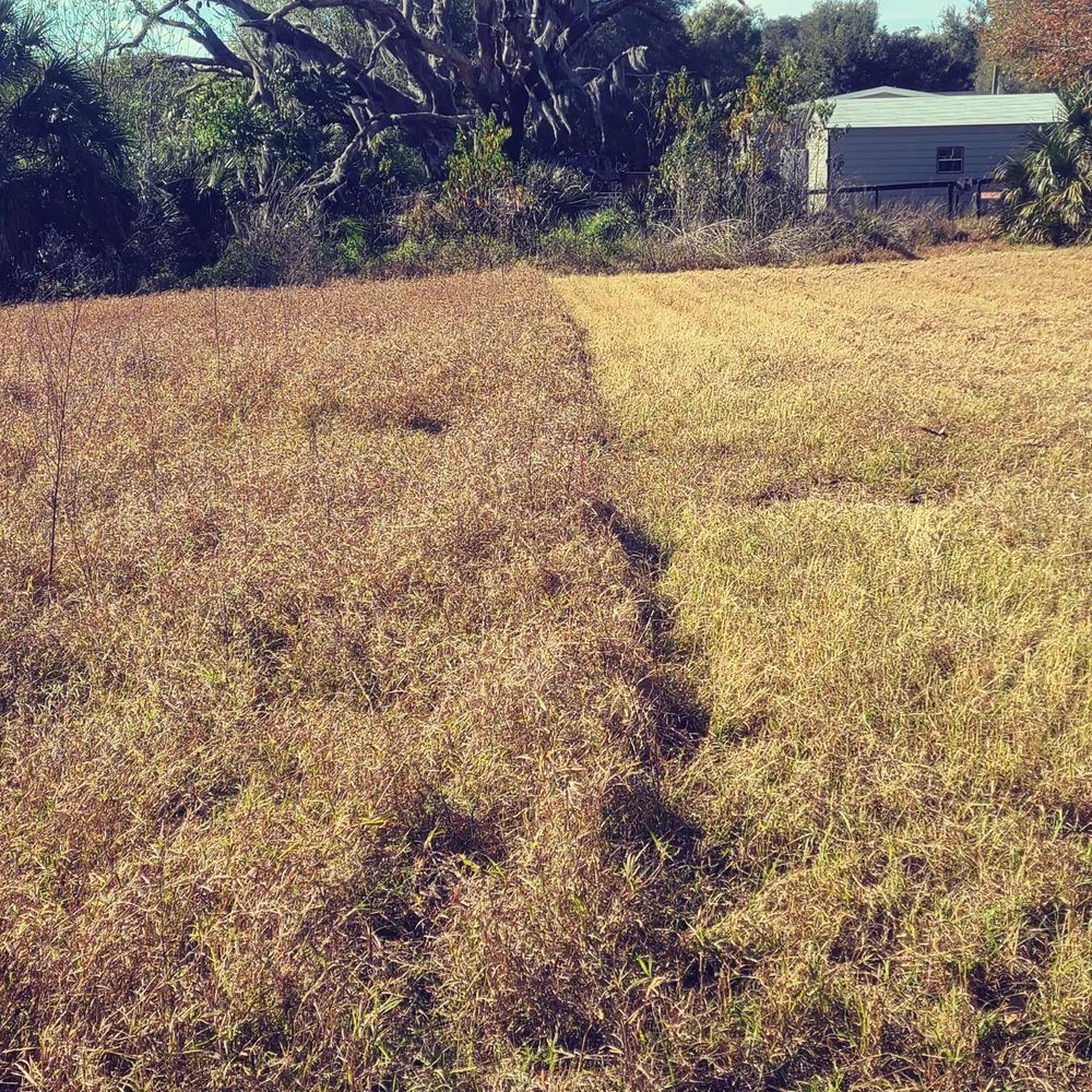 All Photos for TopNotch Landscaping Services  in The Villages, FL