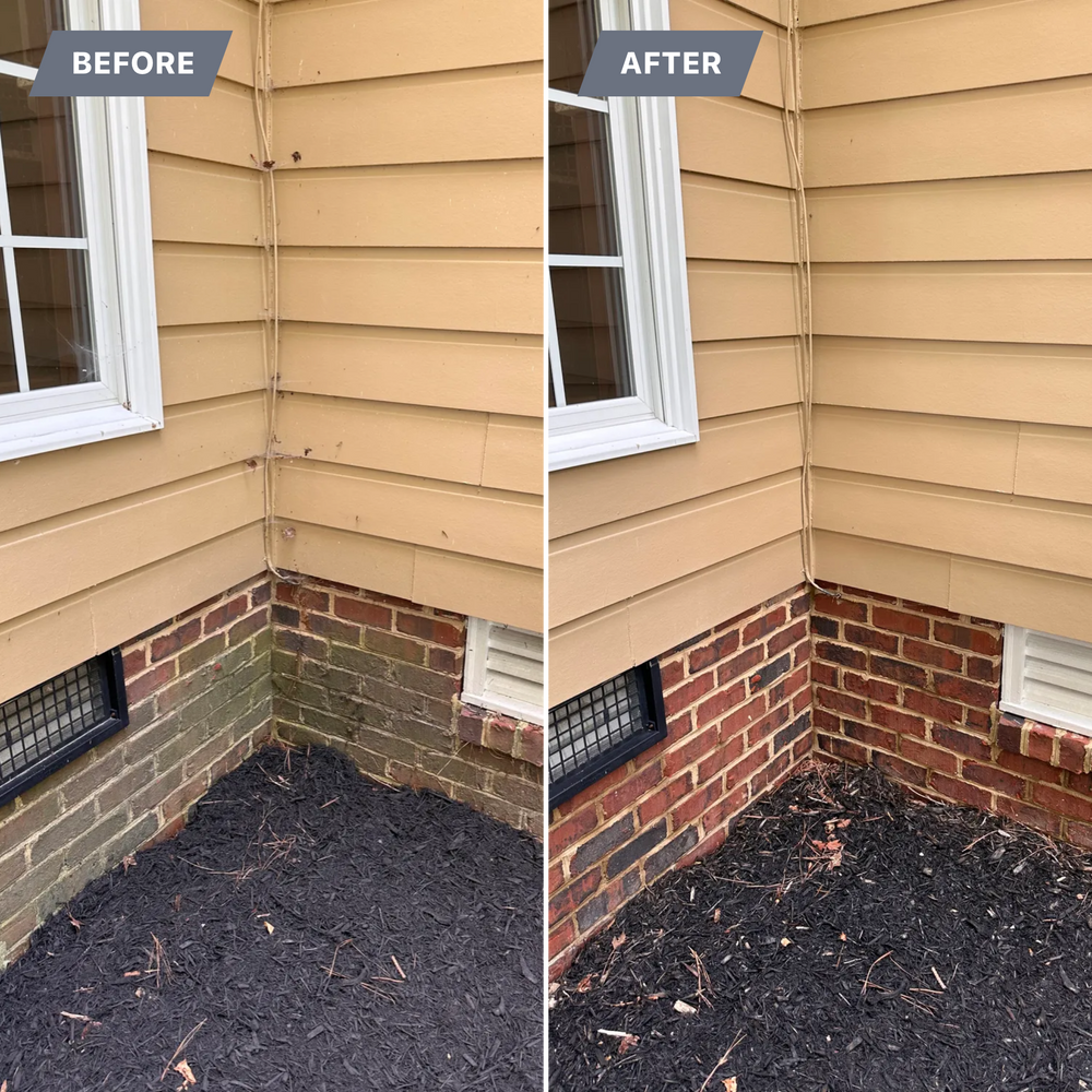 All Photos for LeafTide Solutions in Richmond, VA