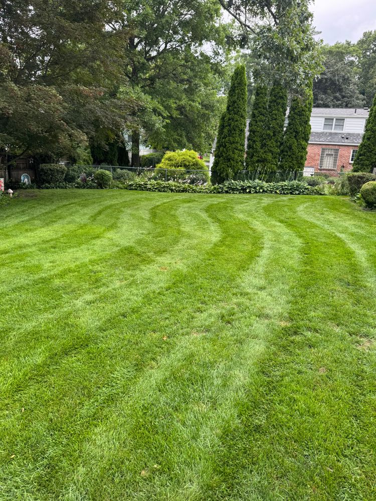 All Photos for Adams Landscaping in Springfield, MA