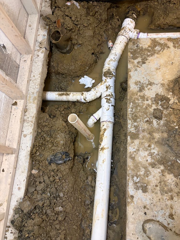 All Photos for The Drain Force in Shaker Heights, OH