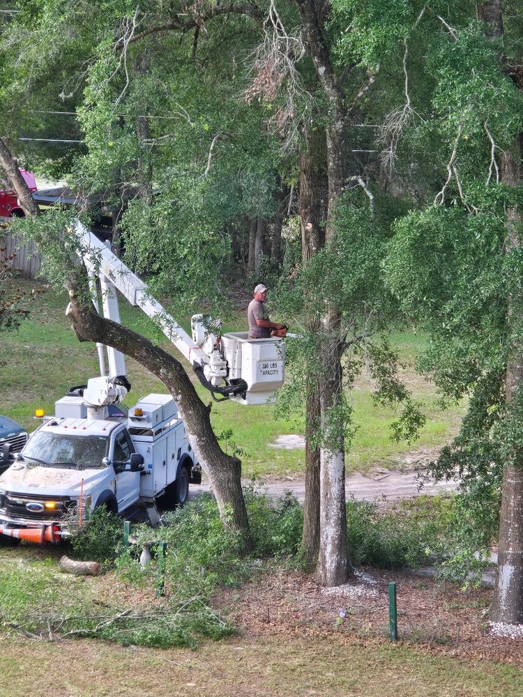 All Photos for Near Me Tree Service, Inc. in DeLand, FL