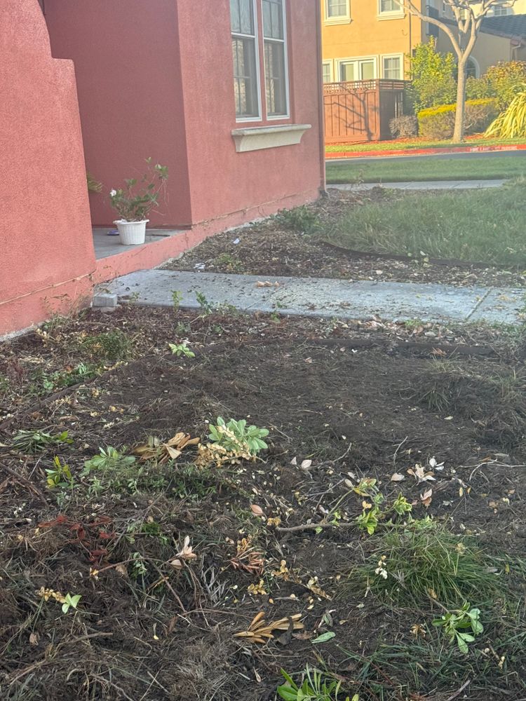 All Photos for CBA Landscaping in Hayward, CA