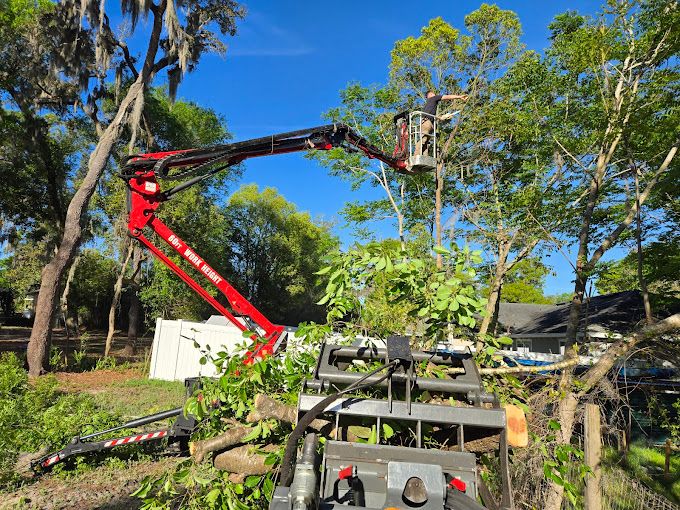 Tree Removal for Near Me Tree Service, Inc. in DeLand, FL