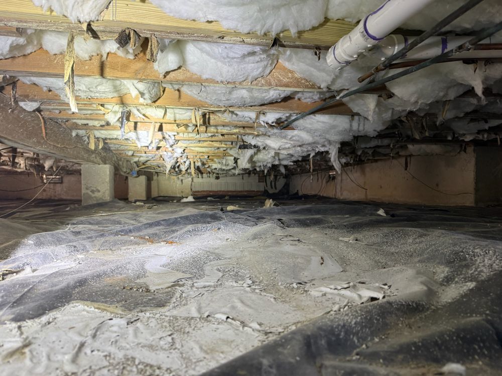 Our insulation services help homeowners improve energy efficiency, reduce utility costs, control indoor temperatures, and enhance comfort by sealing gaps and adding protective materials that support a healthier home. for ABC Service Company, LLC in Virginia Beach, VA