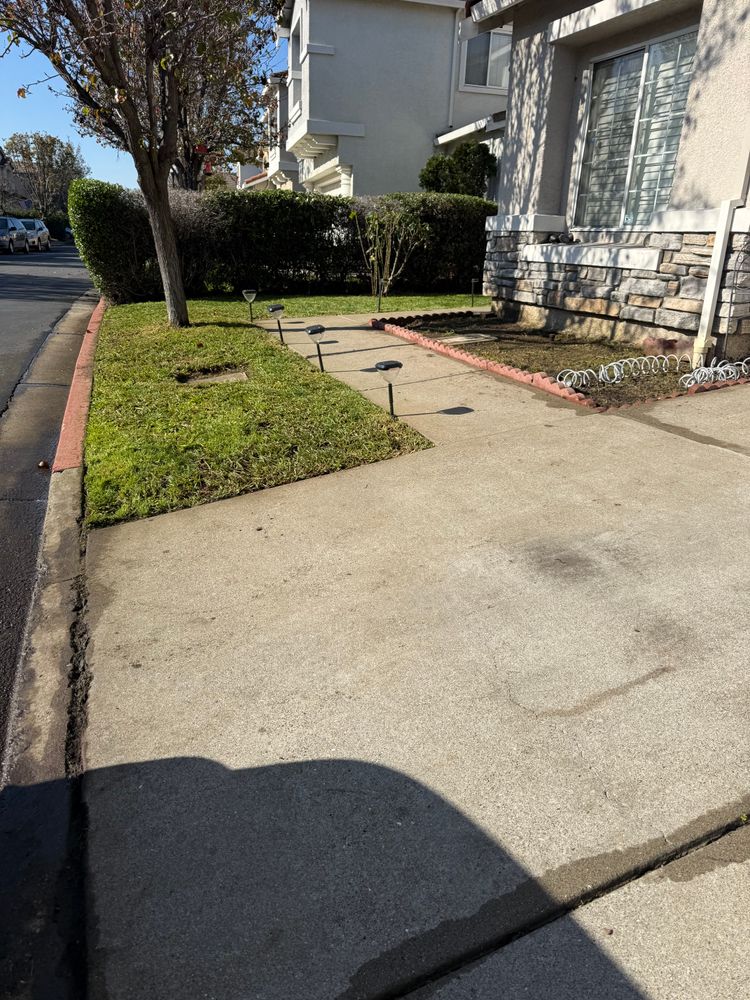 All Photos for CBA Landscaping in Hayward, CA