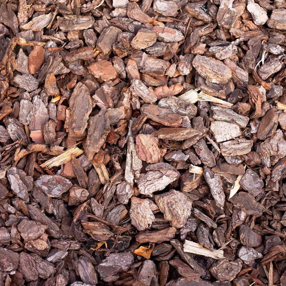 All Photos for Terra Heights Tree Experts & Landscaping  in Grass Valley,  CA