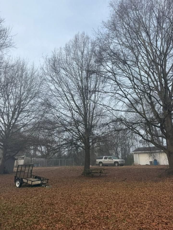 All Photos for Down South Tree Care and Landscaping in Maiden, NC