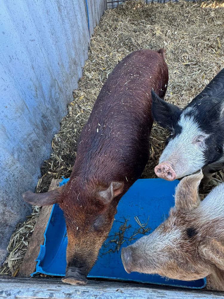 All Photos for HDE Services LLC in Grand Island, NE