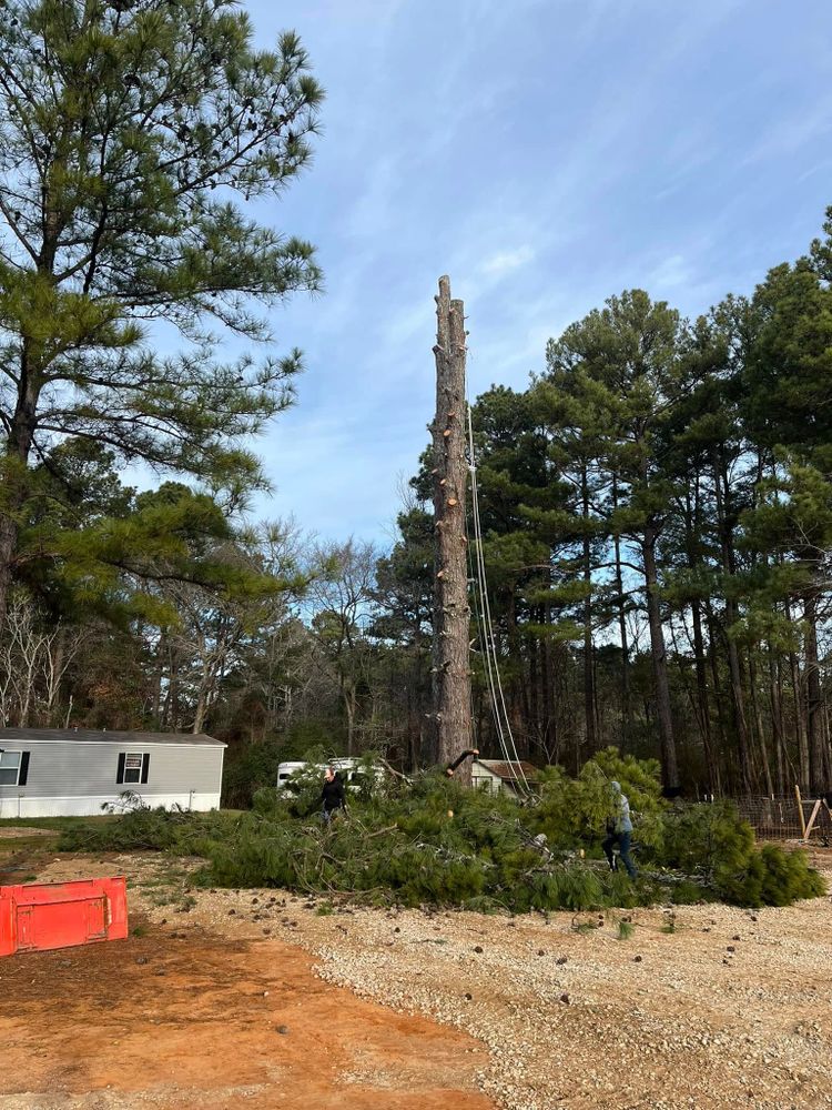 All Photos for JC Land and Tree Service in Kilgore, TX
