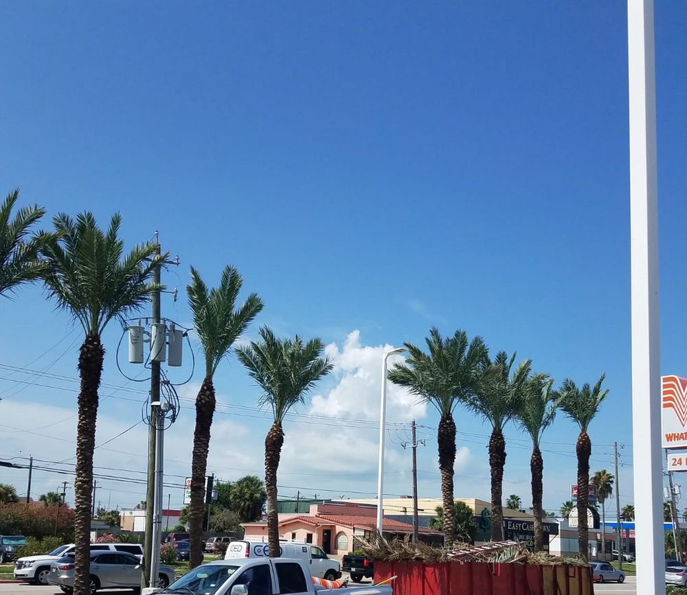 All Photos for Garza Lawncare & Tree Service in Pearland, TX