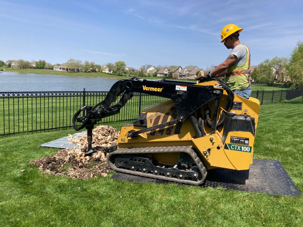 All Photos for Village Tree Service  in Whitestown, IN
