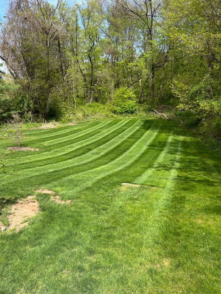 All Photos for Dibs Landscaping LLC in Cheshire, CT