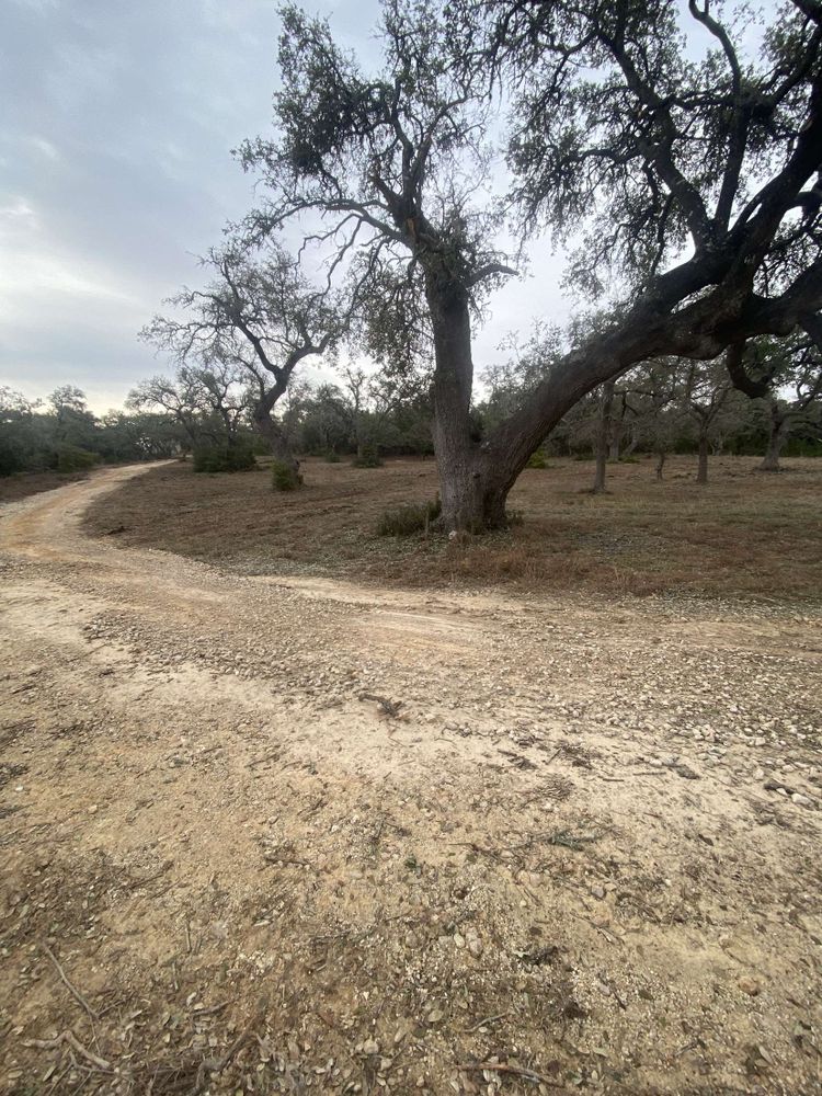 Enhance your property's landscape with our Forestry Mulching service, efficiently clearing underbrush and small trees while preserving soil health, promoting regrowth, and leaving a pristine environment ready for your vision. for K.O. Excavation LLC in Spring Branch, TX