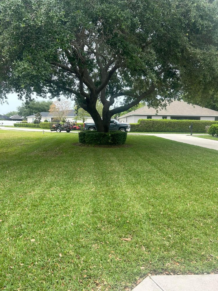 All Photos for Estrada All Pro Lawn Service in Auburndale, Florida