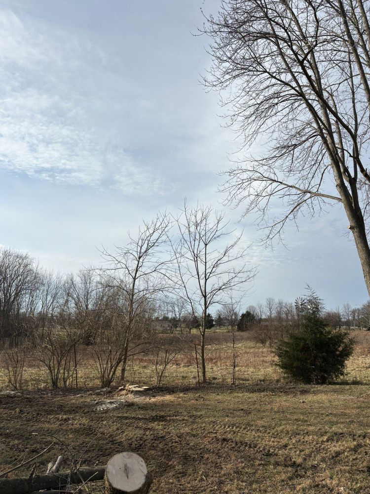 All Photos for Dig-It Tree Company in Mason, OH