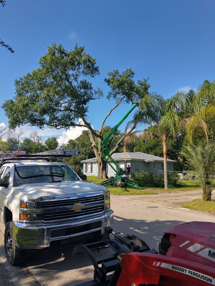 All Photos for Bills Tree Service in Valrico, FL