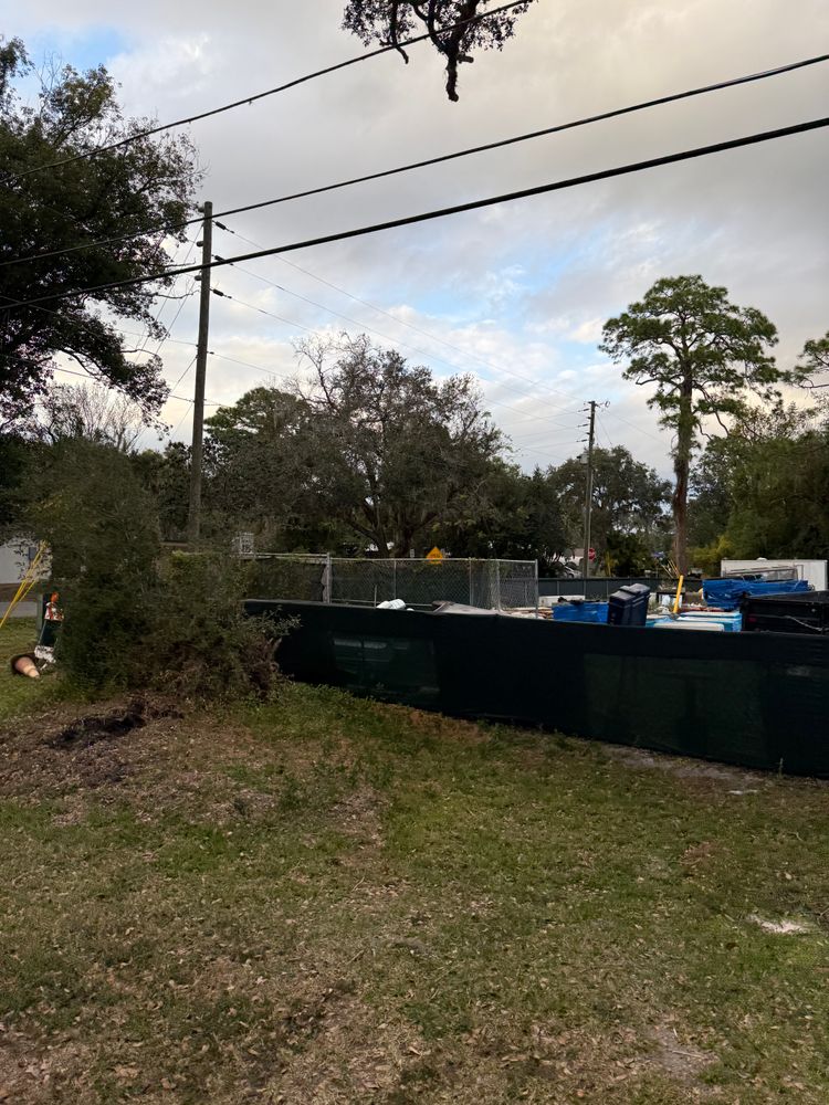 All Photos for Amerigrown Tree And Lawn in Apopka, FL