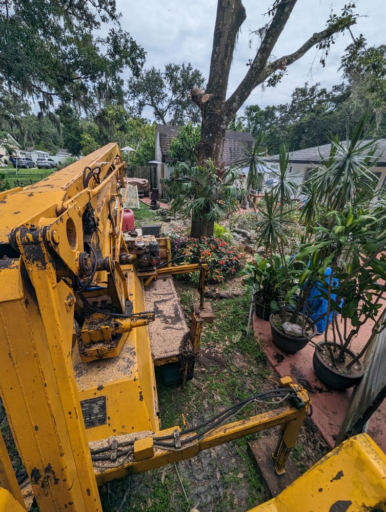 All Photos for Regal Tree Service and Stump Grinding in Wauchula, FL