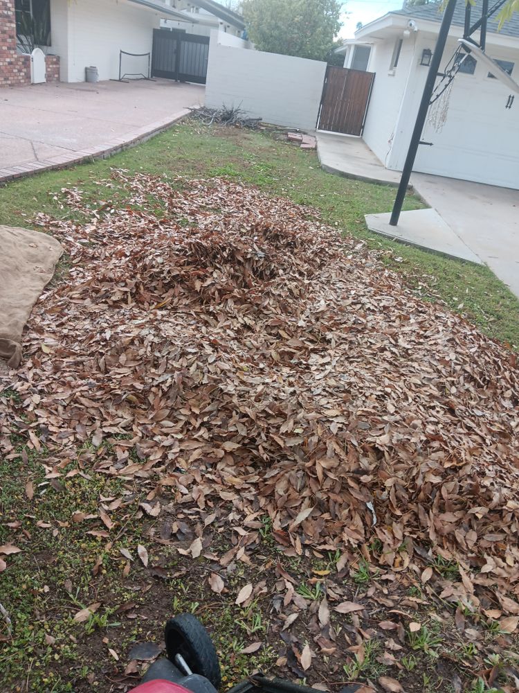 All Photos for Family Landscaping in Phoenix, AZ