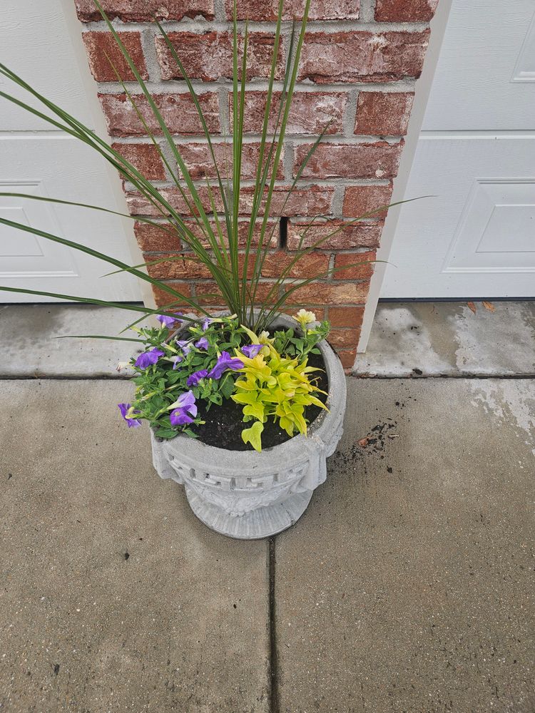 All Photos for Trinity Landscapes  in Lumberton, NC