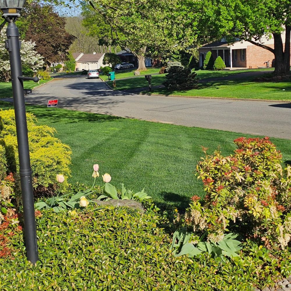 All Photos for Trippin A-Lawn in Bethlehem, PA