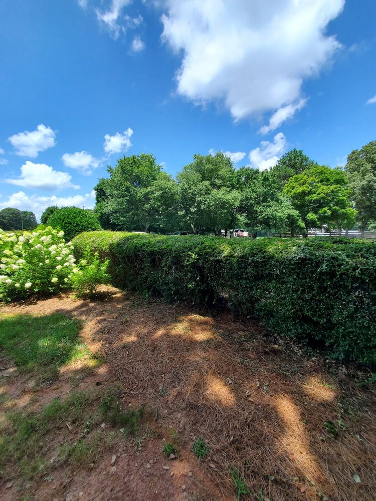 Mulch Installation for Zambrana Landscaping in Cobb County, GA