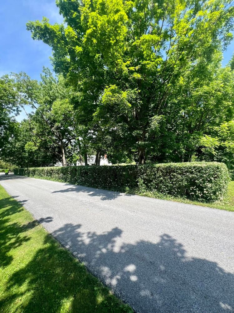 All Photos for Bishop’s Property Maintenance in Franklin, VT