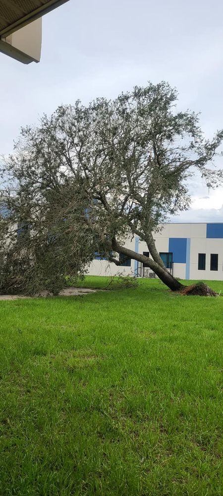 Tree Removal for Daniel Hickey’s Tree Service in DeLand, FL