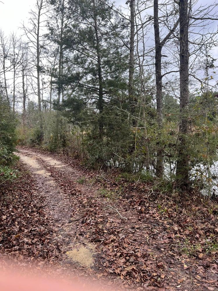 Enhance your home's curb appeal with our professional driveway construction services, blending seamlessly with our expert patio design & construction to create a durable and visually appealing outdoor space. for Joseys Lawn and Tree Care in Chipley, FL