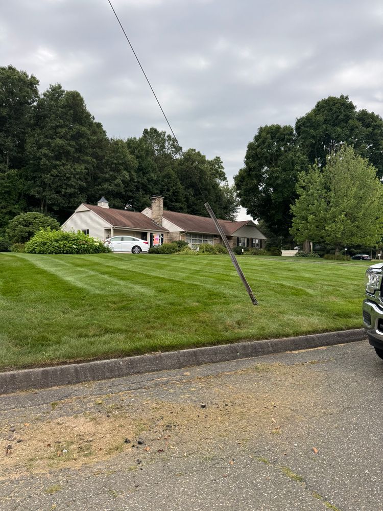 All Photos for Adams Landscaping in Springfield, MA