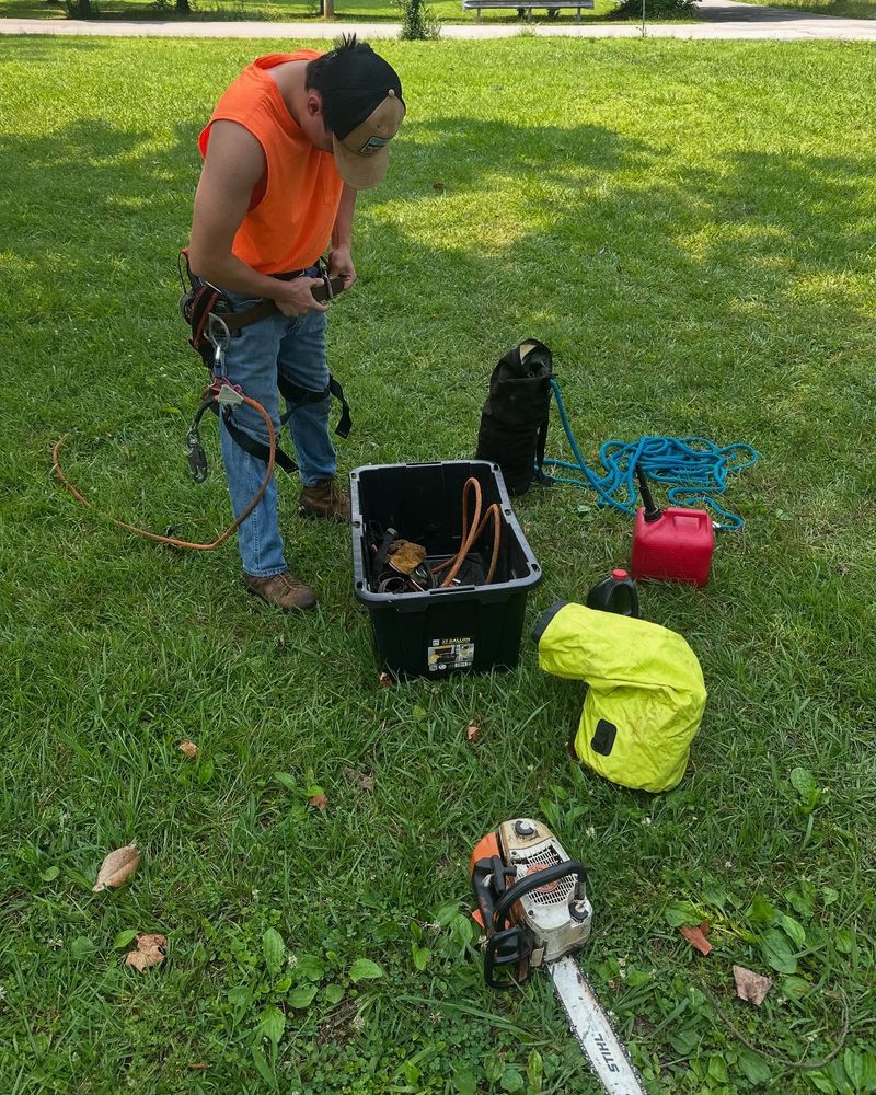Professional Tree Service USA team in Chattanooga, TN - people or person