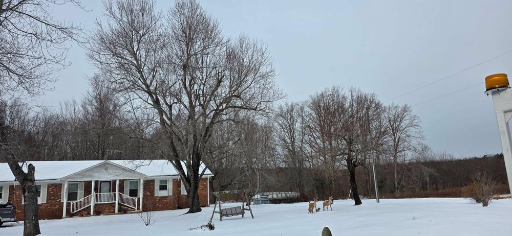 All Photos for Hamlett Tree Service LLC in Clover, VA