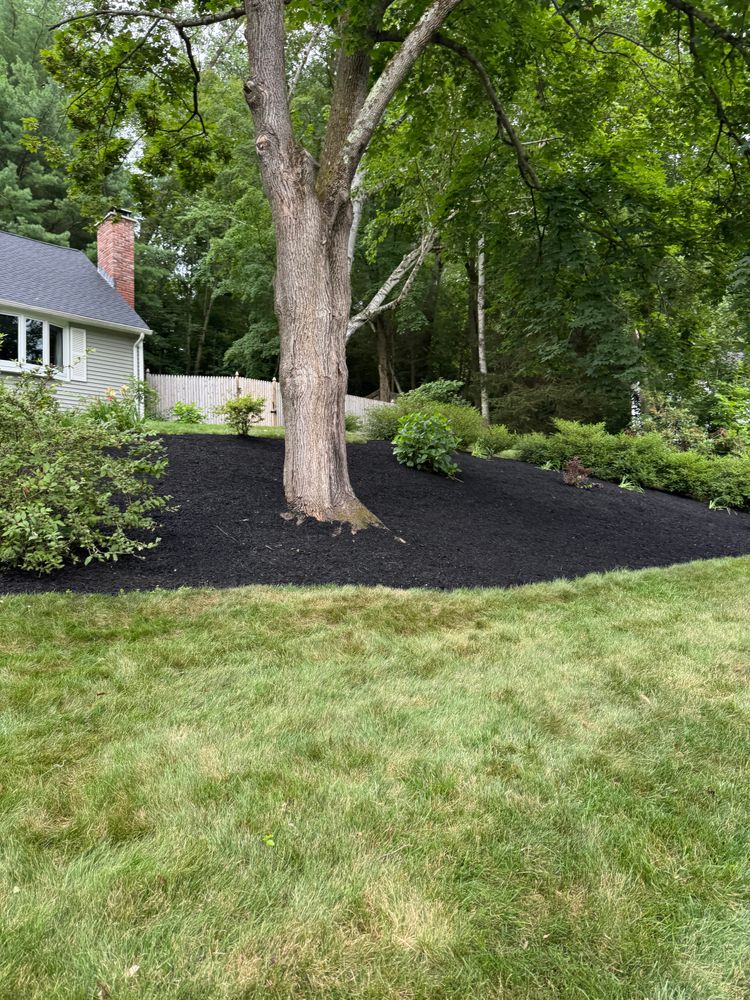 All Photos for Adams Landscaping in Springfield, MA