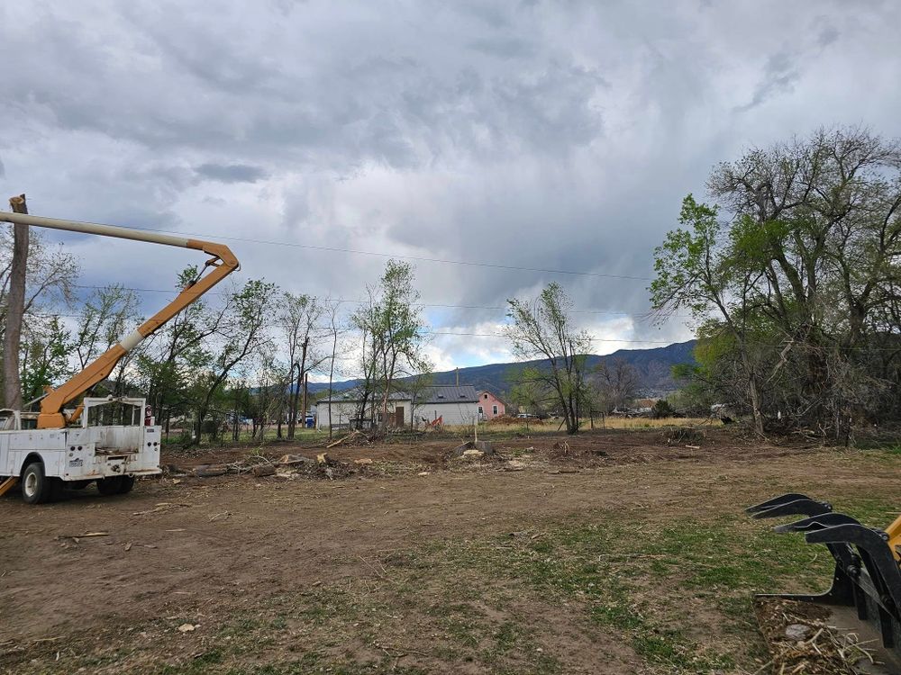 Our mulch installation service enhances your landscape’s beauty, retains soil moisture, and suppresses weeds. Our expert team ensures a flawless application, promoting healthier growth for your trees and garden beds year-round. for Langston Tree & Landscape in Canon City, CO