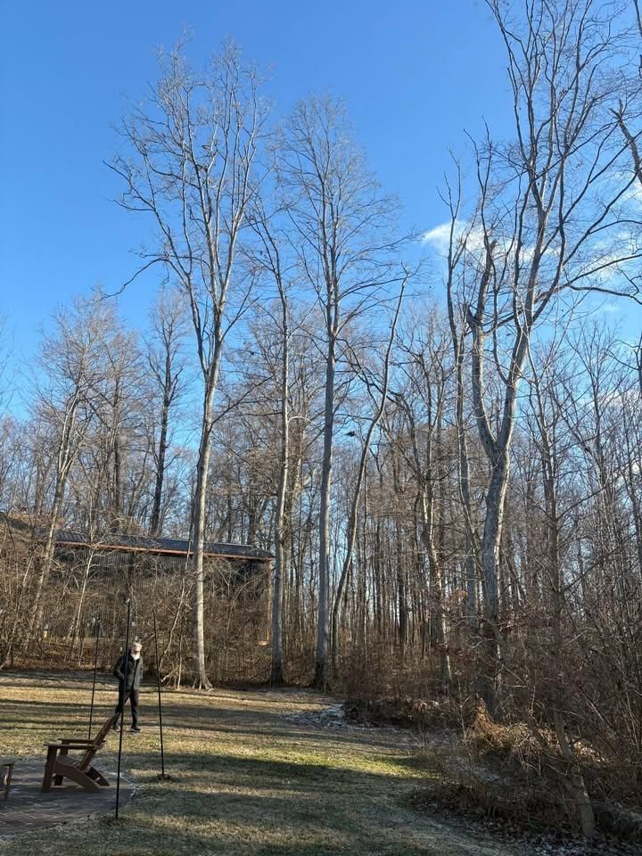 All Photos for Dig-It Tree Company in Mason, OH